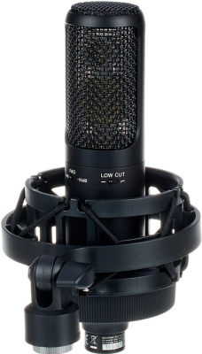 Sony - C-100