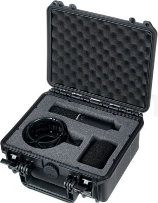 Sony - C-100