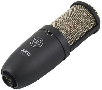 AKG - P420